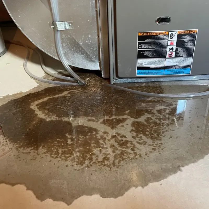 Pipe Burst and Leak Restoration in Bethlehem, NC
