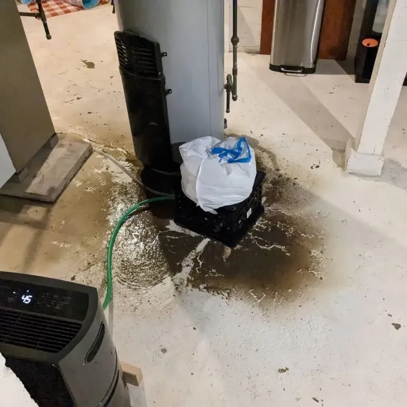 Sewage Backup Cleanup Service in Bethlehem, NC